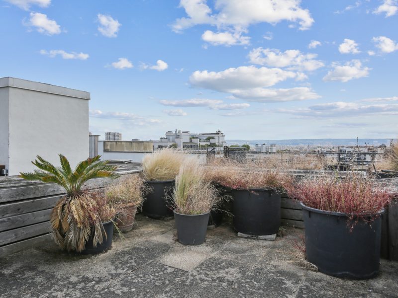 Passy Plaza 200m² + 250m² de terrasse - Photo 2