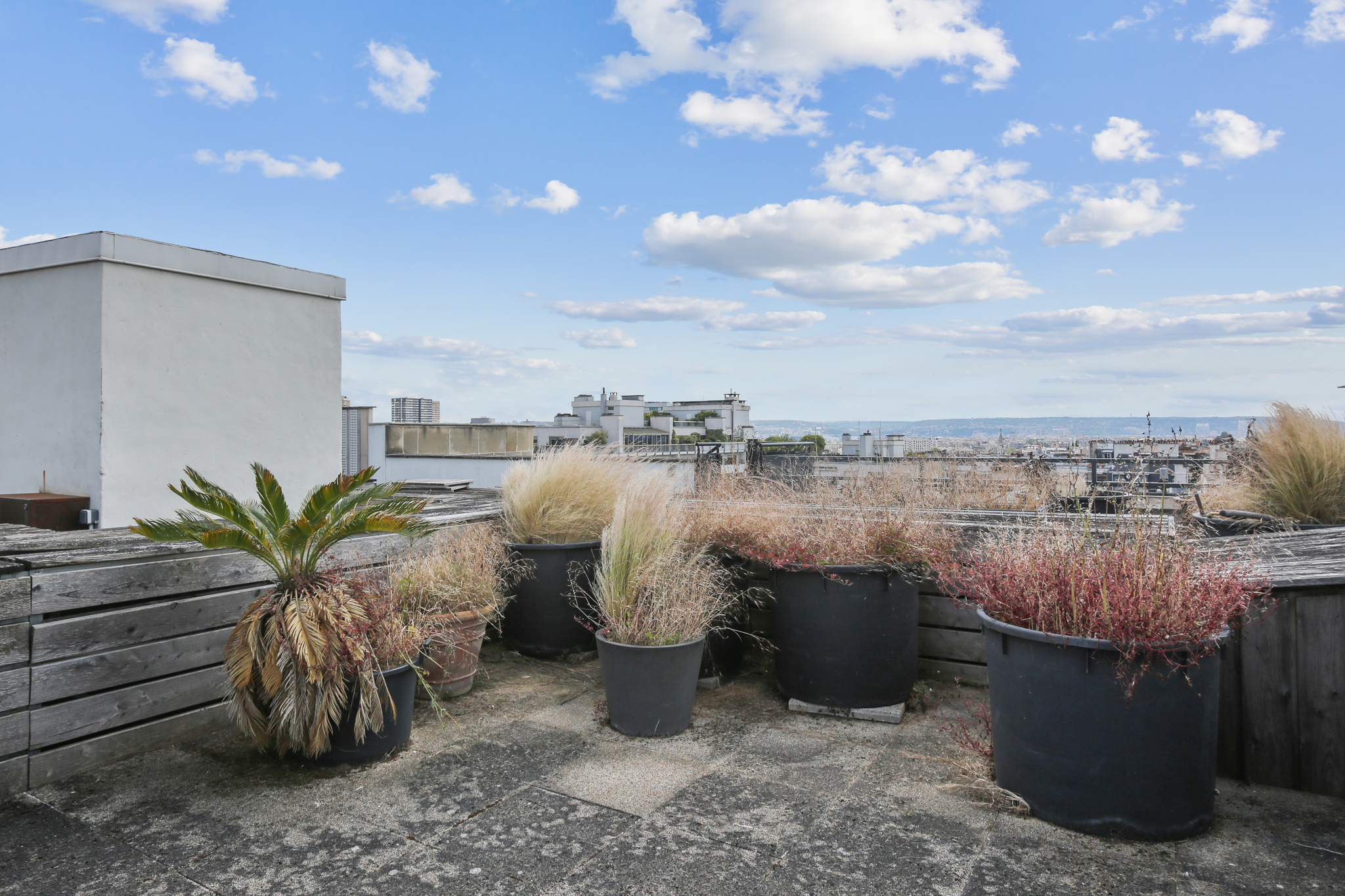 Passy Plaza 200m² + 250m² de terrasse - Photo 2